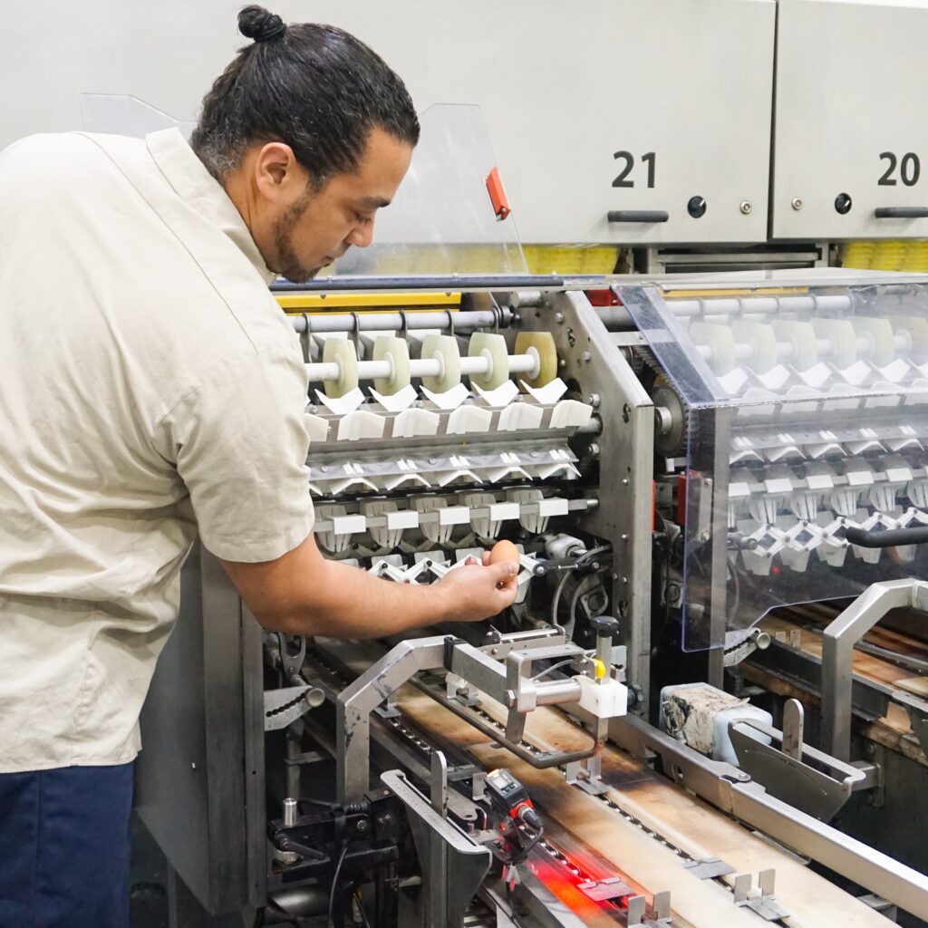 man checking egg processing equipment